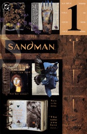 The Sandman (1988-1996) #41 - Neil Gaiman & Jill Thompson