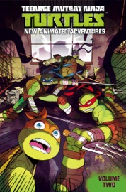 Teenage Mutant Ninja Turtles: New Animated Adventures, Vol. 2 - Kenny Byerly, Cullen Bunn, Brian Smith, Adam Archer, Dario Brizuela, Chad Thomas & Felipe Smith