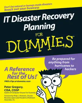Read: IT Disaster Book Recovery Planning For Dummies