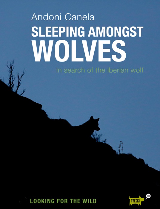 Sleeping Amongst Wolves