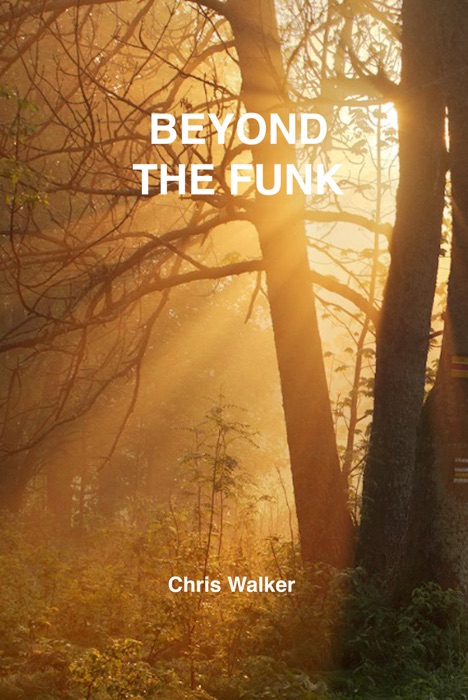 Beyond the Funk