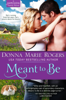 Donna Marie Rogers - Meant to Be artwork