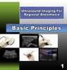 A Practical Guide to Ultrasound Imaging for Regional Anesthesia: Part 1—Basic Principles - Vincent W Chan