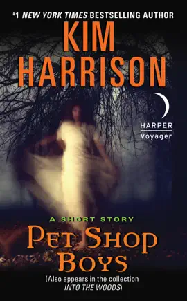 Read: Pet Shop Boys Book