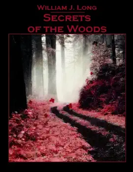 Read: Secrets of the Book Woods