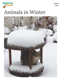 Animals in Winter