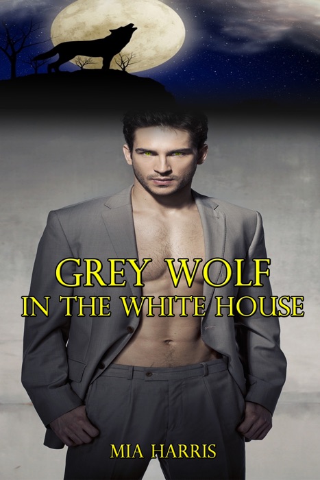 Grey Wolf in the White House: Part 2 (Paranormal BBW Erotic Romance)