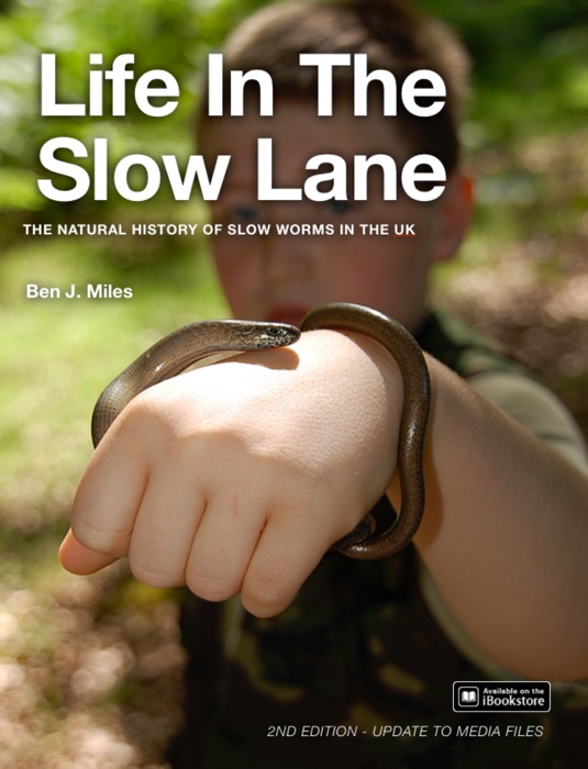 Life In The Slow Lane
