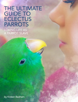 The Ultimate Guide to Eclectus Parrots