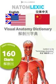 NATOM LEXIC English-中文 - Callimedia