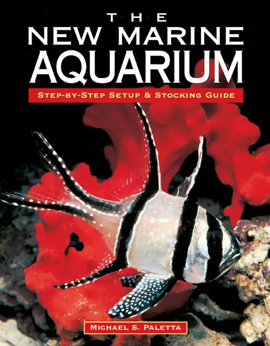 The New Marine Aquarium