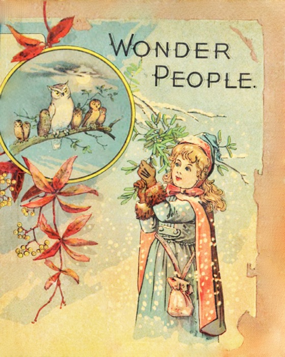 Wonder People: Dwarfs, Giants, Gypsies and Troubadours