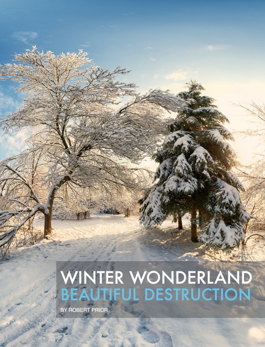 Winter Wonderland