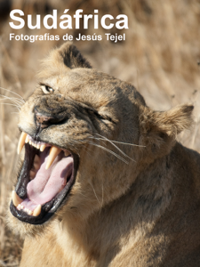 Sudáfrica Book Cover