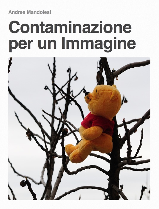Contaminazione per un Immagine