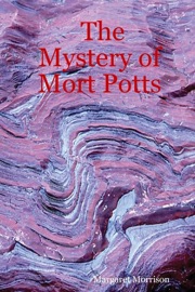 The Mystery of Mort Potts - Margaret Morrison