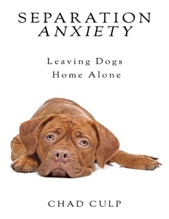 Separation Anxiety by Chad Culp