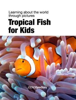 Tropical Fish for Kids by Joono