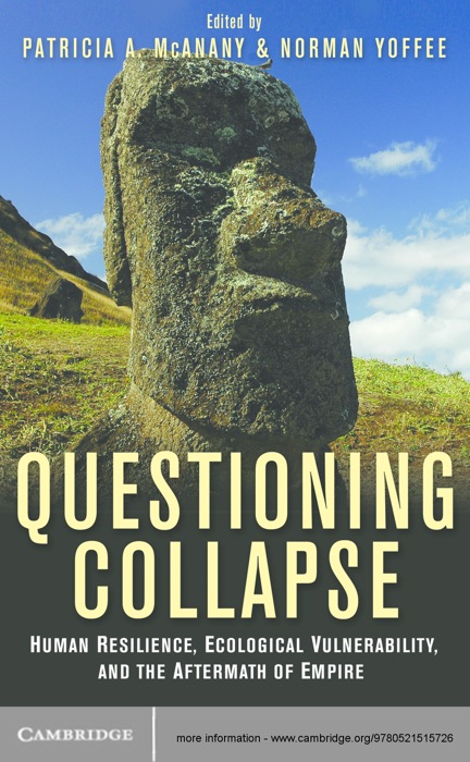Questioning Collapse