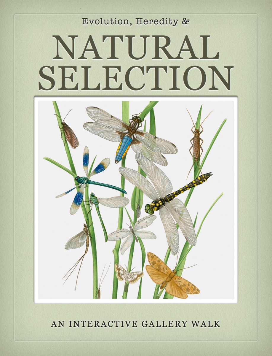 Evolution cover