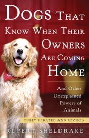 Dogs That Know When Their Owners Are Coming Home - Rupert Sheldrake