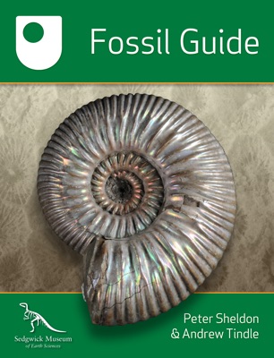 Fossil Guide