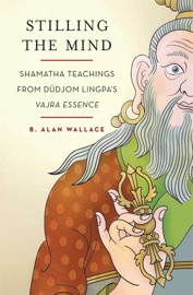 Stilling the Mind - B. Alan Wallace & Brian Hodel