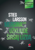 Mergina, kuri užkliudė širšių lizdą - Stieg Larsson