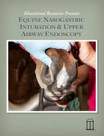 Equine Nasogastric Intubation and Upper Airway Endoscopy - Educational Resources, University of Georgia