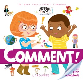 Ma Baby encyclopédie Comment ? - Sophie de Mullenheim & Various Authors