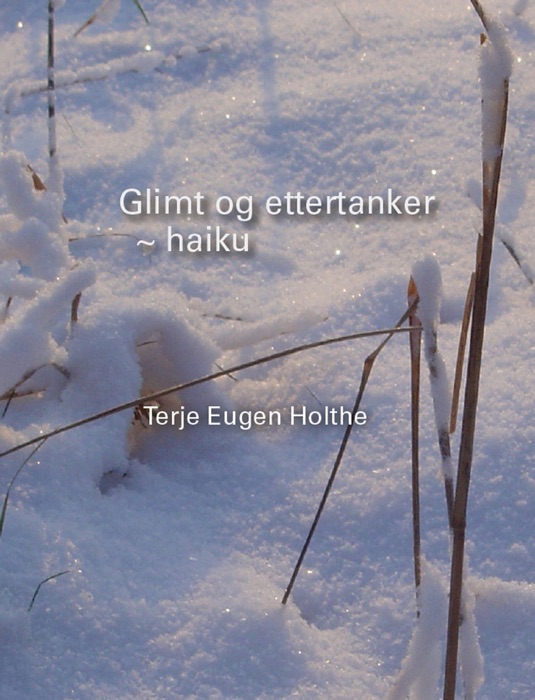 Haiku ~ glimt og ettertanker