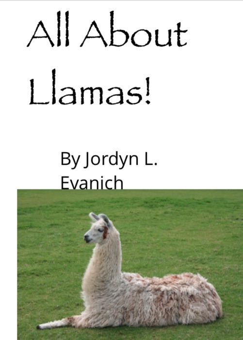 All About Llamas