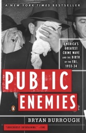 Public Enemies - Bryan Burrough