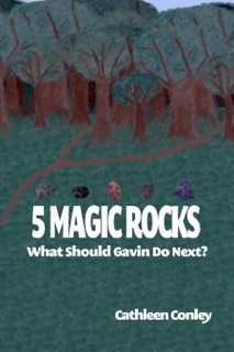 5 Magic Rocks: What Should Gavin Do Next? by Cathleen Conley