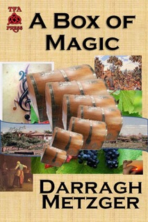 A Box of Magic by Darragh Metzger