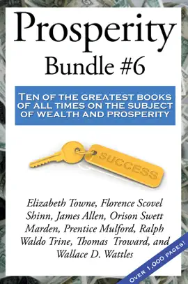 Read: Prosperity Bundle #6 Book