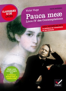 Pauca meae (Livre IV des Contemplations) by Victor Hugo, Michel Vincent & Johan Faerber