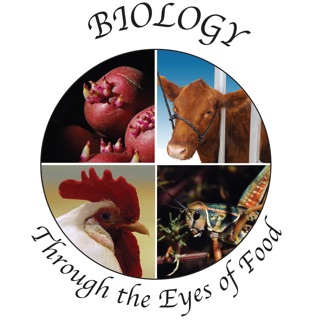 Biology Through the Eyes of Food by J. José Bonner