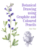 Sue Vize - Botanical Drawing using Graphite and Coloured Pencils artwork