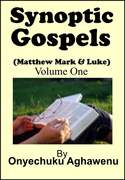 Synoptic Gospels (Matthew Mark & Luke) Volume One
