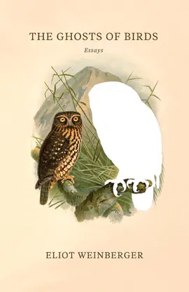 Read: The Ghosts of Book Birds