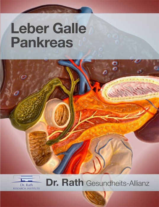 CHE: Leber-Galle-Pankreas