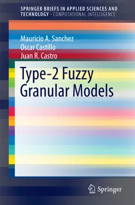 Read: Book Type-2 Fuzzy Granular Models
