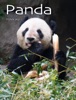 Book Panda