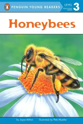 Read: Honeybees
