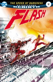 The Flash (2016-) #12 - Joshua Williamson & Davide Gianfelice