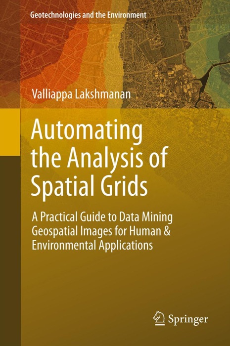 Automating the Analysis of Spatial Grids