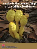 A guide to the common fungi of coastal New South Wales