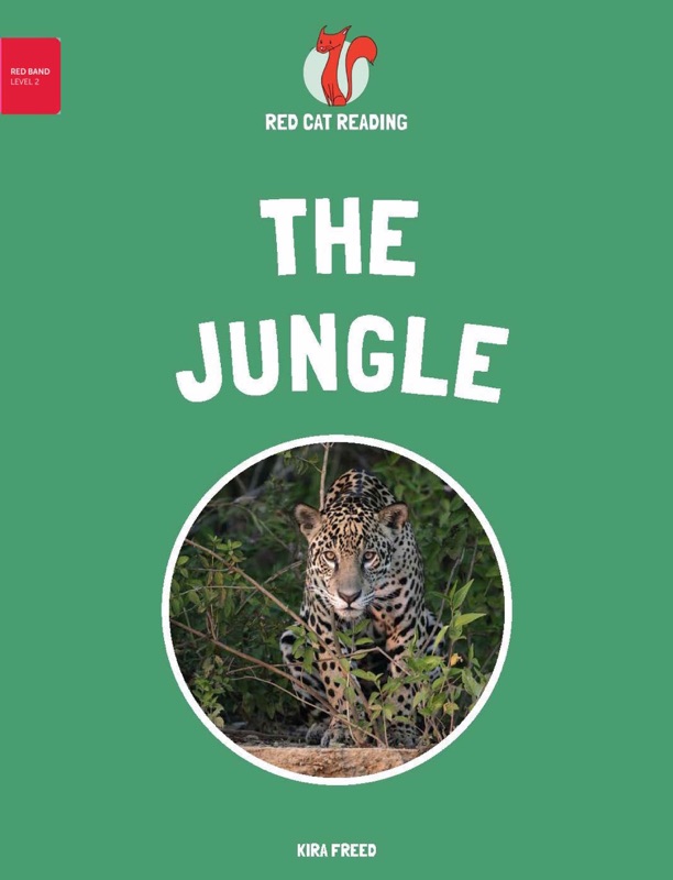 The Jungle