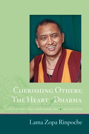 Cherishing Others - The Heart of Dharma: Lamrim Teachings from Kopan 1991